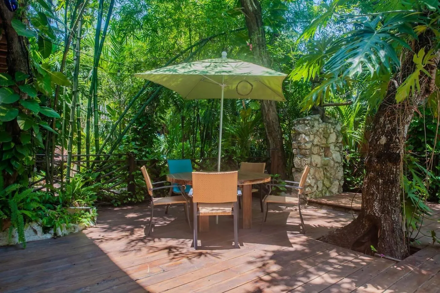 Xcaret Jungle Monkey Haven Stay Playa del Carmen Mexico