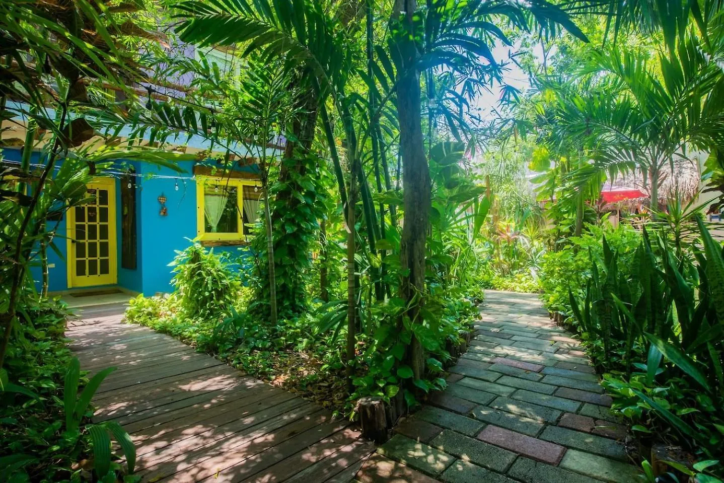 Xcaret Jungle Monkey Haven Stay Playa del Carmen