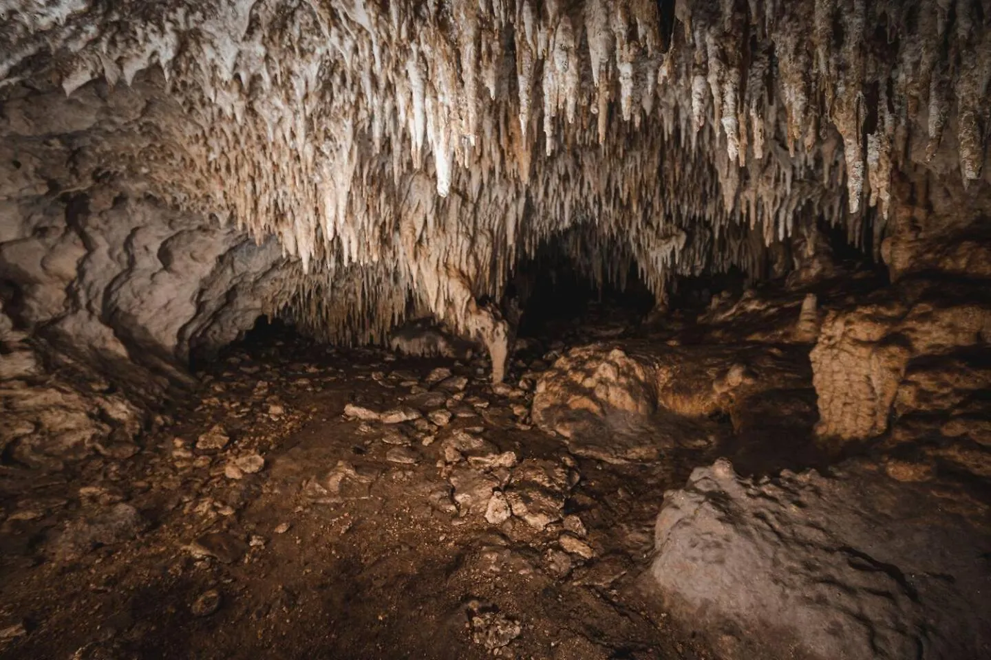 Xcaret Jungle Monkey Haven Stay Playa del Carmen Luxury tent